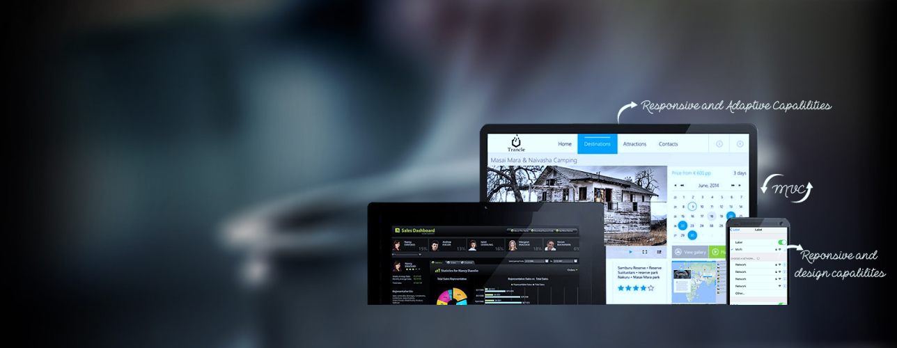 Custom Software Development